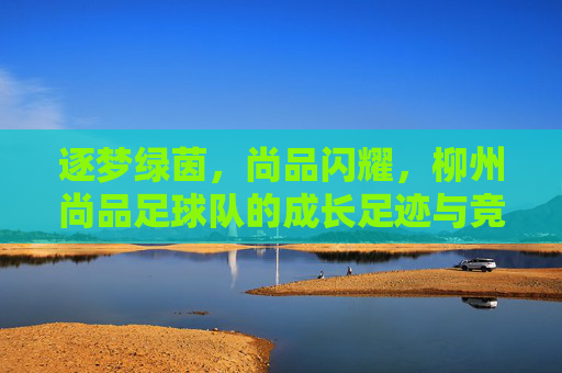逐梦绿茵，尚品闪耀，柳州尚品足球队的成长足迹与竞技风采，逐梦绿茵，尚品闪耀，柳州尚品足球队的成长足迹与竞技风采