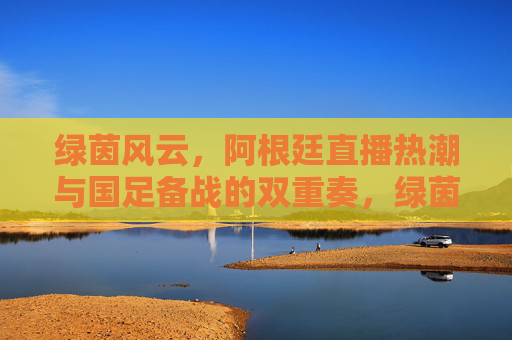 绿茵风云,阿根廷直播热潮与国足备战的双重奏,绿茵风云,阿根廷直播热潮与国足备战的双重奏