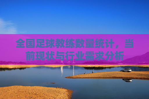 全国足球教练数量统计,当前现状与行业需求分析