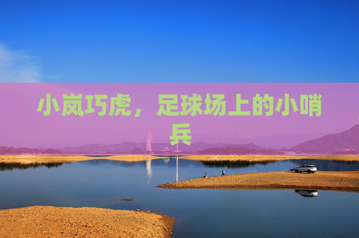 小岚巧虎,足球场上的小哨兵