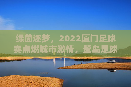 绿茵逐梦，2022厦门足球赛点燃城市激情，鹭岛足球文化再谱新篇
