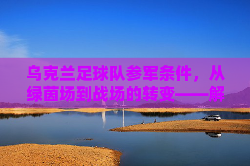 乌克兰足球队参军条件,从绿茵场到战场的转变——解析乌克兰足协与军方合作的具体要求