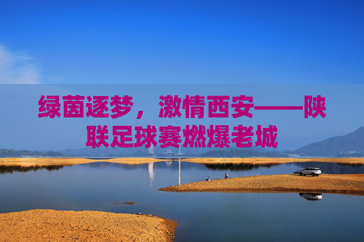 绿茵逐梦,激情西安——陕联足球赛燃爆老城