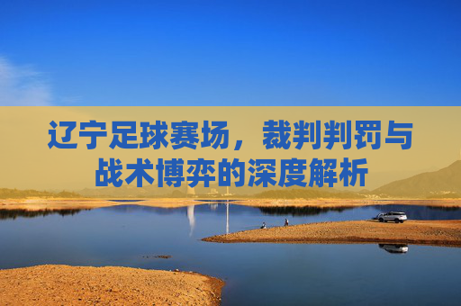 辽宁足球赛场，裁判判罚与战术博弈的深度解析