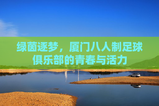 绿茵逐梦,厦门八人制足球俱乐部的青春与活力