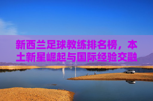 新西兰足球教练排名榜,本土新星崛起与国际经验交融,绿茵场上谁执掌风帆?