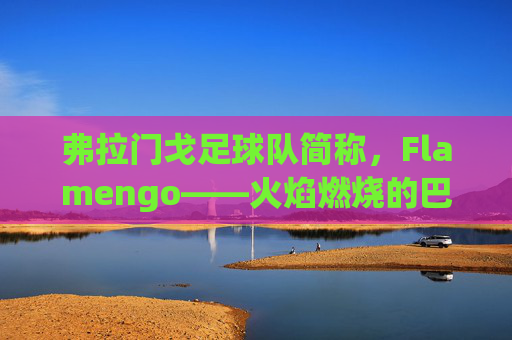 弗拉门戈足球队简称,Flamengo——火焰燃烧的巴西足坛传奇