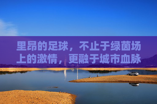 里昂的足球，不止于绿茵场上的激情，更融于城市血脉