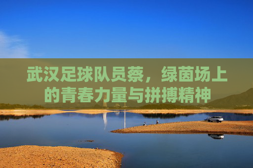 武汉足球队员蔡,绿茵场上的青春力量与拼搏精神