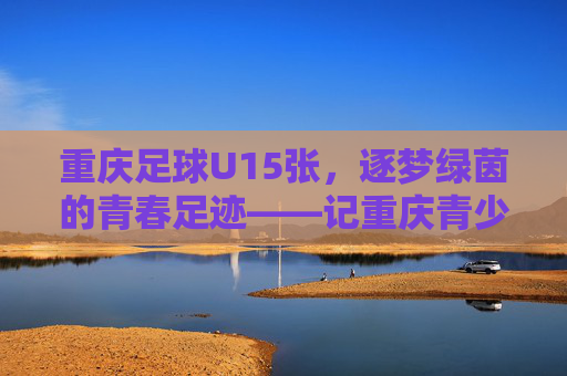 重庆足球U15张，逐梦绿茵的青春足迹——记重庆青少年足球新星张某某的成长之路
