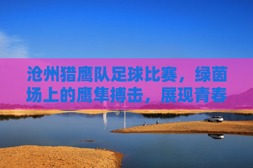 沧州猎鹰队足球比赛，绿茵场上的鹰隼搏击，展现青春力量与团队荣光