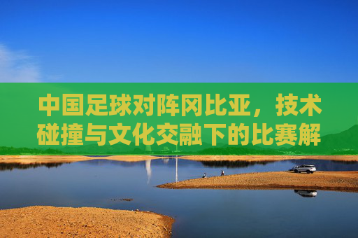 中国足球对阵冈比亚,技术碰撞与文化交融下的比赛解析