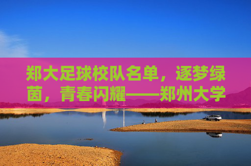 郑大足球校队名单，逐梦绿茵，青春闪耀——郑州大学足球校队成员风采与风采展示，郑州大学足球校队风采展示，逐梦绿茵，青春闪耀