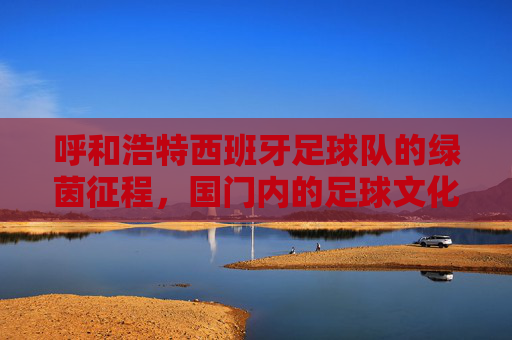 呼和浩特西班牙足球队的绿茵征程，国门内的足球文化交融，呼和浩特西班牙足球队，绿茵征程中的足球文化交融