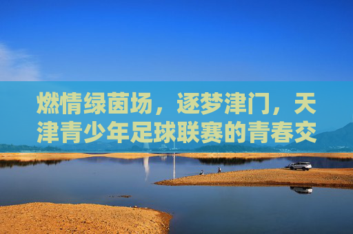 燃情绿茵场，逐梦津门，天津青少年足球联赛的青春交响曲，燃情绿茵场，逐梦津门，天津青少年足球联赛的青春交响曲
