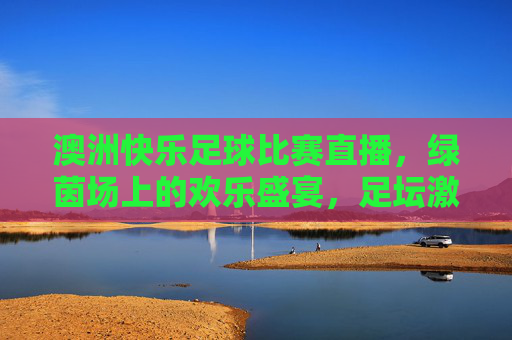 澳洲快乐足球比赛直播,绿茵场上的欢乐盛宴,足坛激情的实时解码