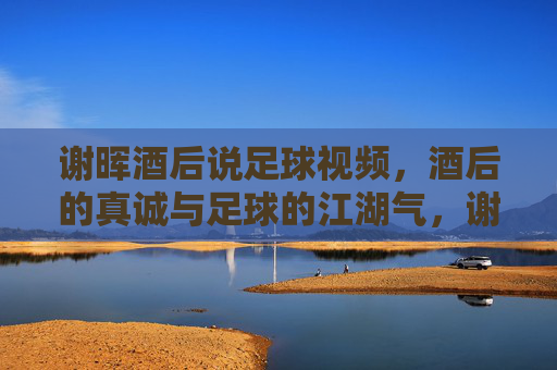 谢晖酒后说足球视频,酒后的真诚与足球的江湖气,谢晖酒后说足球,酒后的真诚与足球的江湖气