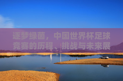 逐梦绿茵，中国世界杯足球竞赛的历程、挑战与未来展望，逐梦绿茵，中国世界杯足球竞赛的历程、挑战与未来展望
