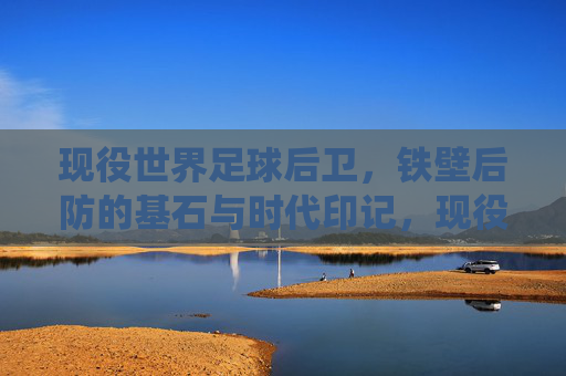 现役世界足球后卫,铁壁后防的基石与时代印记,现役世界足球后卫,铁壁后防的基石与时代印记