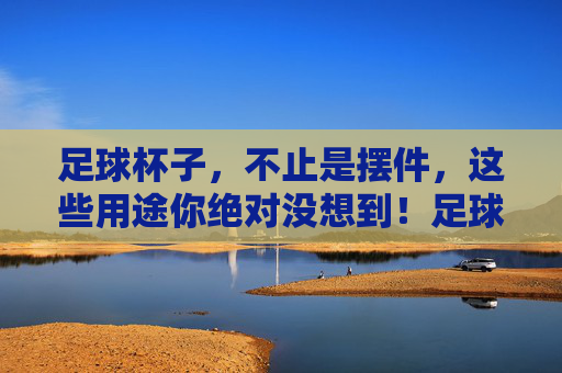 足球杯子，不止是摆件，这些用途你绝对没想到！足球杯子，不止是摆件，这些用途你绝对没想到！