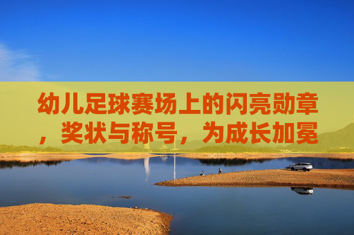 幼儿足球赛场上的闪亮勋章，奖状与称号，为成长加冕，幼儿足球赛场上的闪亮勋章，奖状与称号，为成长加冕