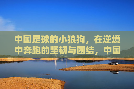 中国足球的小狼狗,在逆境中奔跑的坚韧与团结,中国足球小狼狗,逆境中奔跑的坚韧与团结