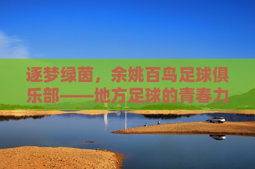 逐梦绿茵，余姚百鸟足球俱乐部——地方足球的青春力量与社区传承，逐梦绿茵，余姚百鸟足球俱乐部——地方足球的青春力量与社区传承