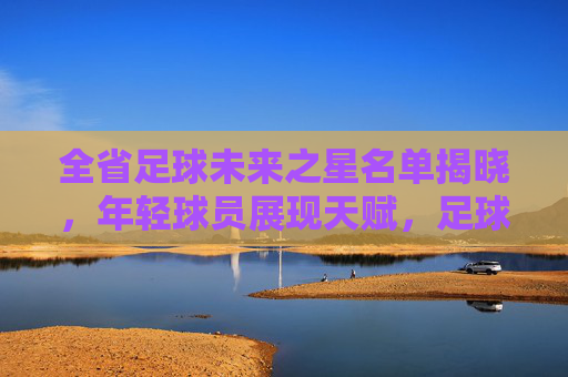 全省足球未来之星名单揭晓，年轻球员展现天赋，足球希望之光熠熠生辉，全省足球未来之星名单揭晓，年轻球员展现天赋，足球希望之光熠熠生辉