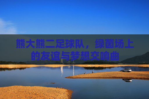 熊大熊二足球队，绿茵场上的友谊与梦想交响曲