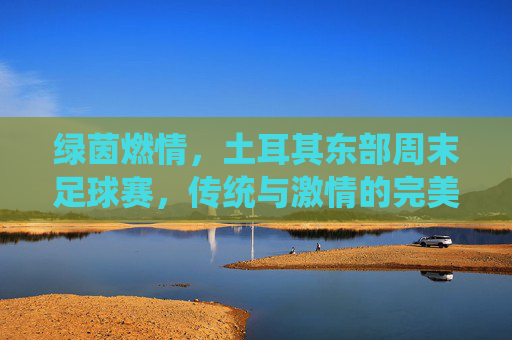 绿茵燃情，土耳其东部周末足球赛，传统与激情的完美邂逅，绿茵燃情，土耳其东部周末足球赛，传统与激情的完美邂逅