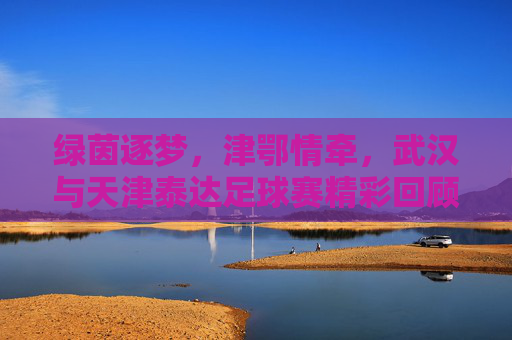 绿茵逐梦,津鄂情牵,武汉与天津泰达足球赛精彩回顾,绿茵逐梦,津鄂情牵,武汉与天津泰达足球赛精彩回顾