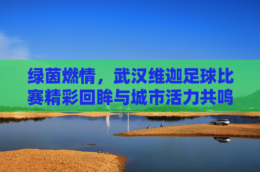 绿茵燃情，武汉维迦足球比赛精彩回眸与城市活力共鸣，绿茵燃情，武汉维迦足球比赛精彩回眸与城市活力共鸣