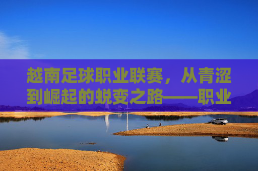 越南足球职业联赛,从青涩到崛起的蜕变之路——职业化进程中的显著进步与未来展望,越南足球职业联赛,从青涩到崛起的蜕变之路——职业化进程中的显著进步与未来展望