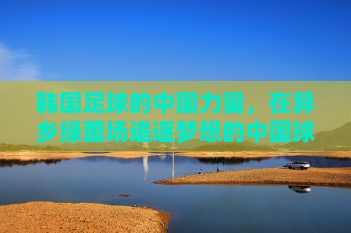 韩国足球的中国力量，在异乡绿茵场追逐梦想的中国球员，韩国足球的中国力量，在异乡绿茵场追逐梦想的中国球员
