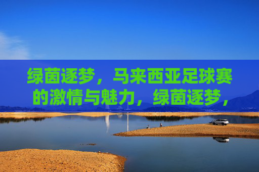 绿茵逐梦,马来西亚足球赛的激情与魅力,绿茵逐梦,马来西亚足球赛的激情与魅力