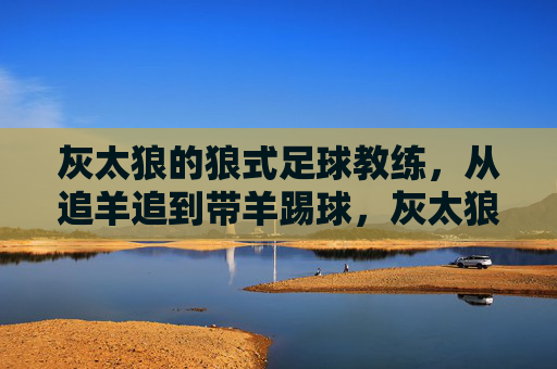 灰太狼的狼式足球教练，从追羊追到带羊踢球，灰太狼转型足球教练，从追羊到带羊踢球