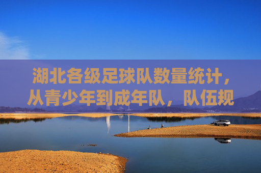 湖北各级足球队数量统计,从青少年到成年队,队伍规模与分布分析——聚焦全省足球运动普及与发展现状,湖北各级足球队数量统计,青少年至成年队队伍规模与分布分析——聚焦全省足球运动普及与发展现状
