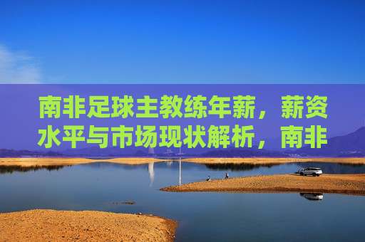南非足球主教练年薪,薪资水平与市场现状解析,南非足球主教练年薪、薪资水平与市场现状解析