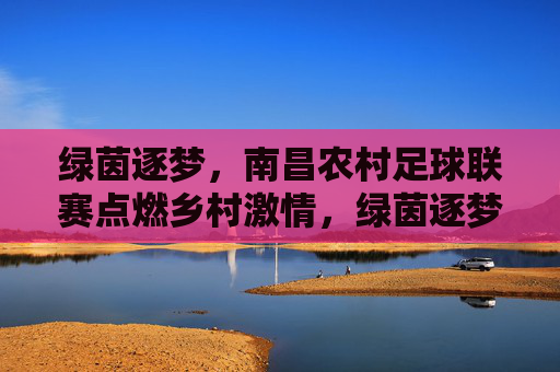 绿茵逐梦，南昌农村足球联赛点燃乡村激情，绿茵逐梦，南昌农村足球联赛点燃乡村激情