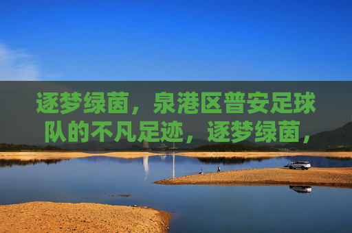 逐梦绿茵,泉港区普安足球队的不凡足迹,逐梦绿茵,泉港区普安足球队的不凡足迹