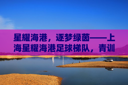 星耀海港，逐梦绿茵——上海星耀海港足球梯队，青训的星火传承与未来希望，星耀海港，逐梦绿茵——上海星耀海港足球梯队，青训的星火传承与未来希望