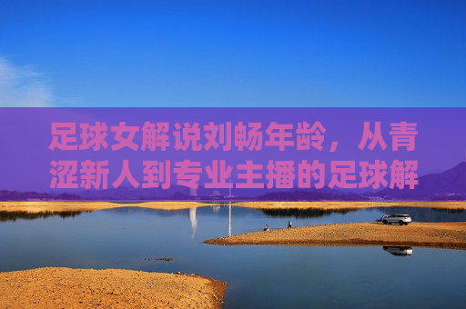 足球女解说刘畅年龄,从青涩新人到专业主播的足球解说之路,足球女解说刘畅年龄,从青涩新人到专业主播的足球解说之路