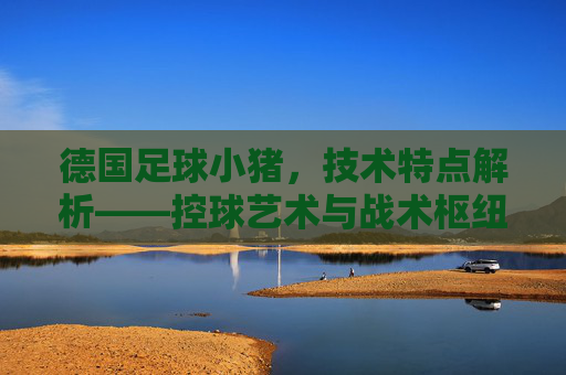 德国足球小猪，技术特点解析——控球艺术与战术枢纽的体现，德国足球小猪技术特点解析，控球艺术与战术枢纽的体现