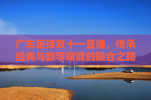 广东足球双十一直播，传承经典与数字赋能的融合之路，广东足球双十一直播，传承经典与数字赋能的融合之路