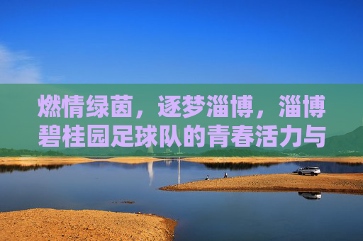 燃情绿茵,逐梦淄博,淄博碧桂园足球队的青春活力与社区影响力,燃情绿茵,逐梦淄博,淄博碧桂园足球队的青春活力与社区影响力