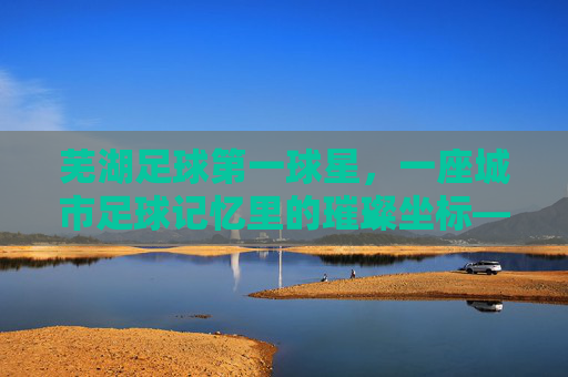 芜湖足球第一球星，一座城市足球记忆里的璀璨坐标——记芜湖队传奇射手李伟的黄金岁月与城市荣光，芜湖足球第一球星，一座城市足球记忆里的璀璨坐标——记芜湖队传奇射手李伟的黄金岁月与城市荣光