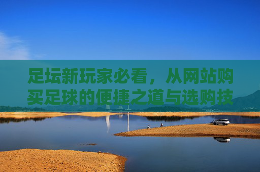 足坛新玩家必看,从网站购买足球的便捷之道与选购技巧,足坛新玩家必看,从网站购买足球的便捷之道与选购技巧
