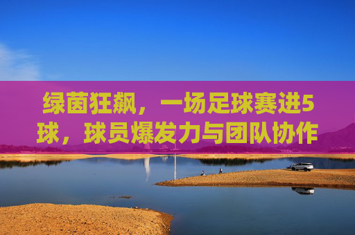 绿茵狂飙，一场足球赛进5球，球员爆发力与团队协作的精彩演绎，绿茵狂飙，一场足球赛进5球，球员爆发力与团队协作的精彩演绎