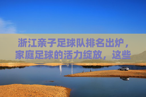 浙江亲子足球队排名出炉,家庭足球的活力绽放,这些队伍引领风尚,浙江亲子足球队排名出炉,家庭足球活力绽放,引领运动风尚