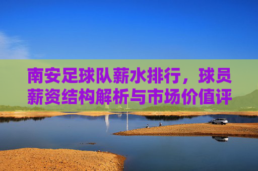 南安足球队薪水排行,球员薪资结构解析与市场价值评估,南安足球队球员薪水排行,薪资结构解析与市场价值评估
